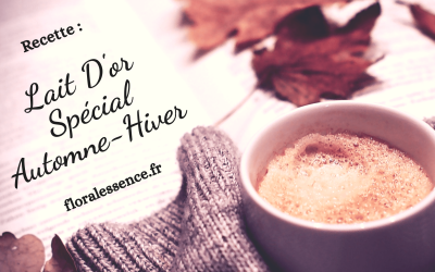 Lait d’Or : Spécial Automne-Hiver