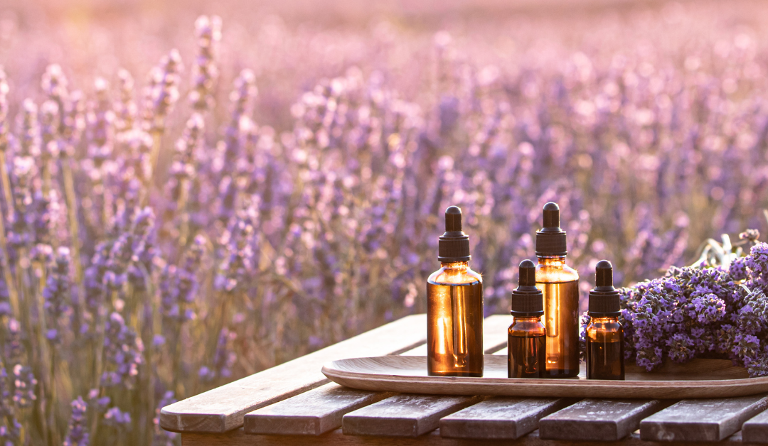 LES 5 PRINCIPES CLÉ DE LA NATUROPATHIE POUR UNE SANTÉ OPTIMALE