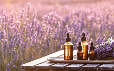 LES 5 PRINCIPES CLÉ DE LA NATUROPATHIE POUR UNE SANTÉ OPTIMALE