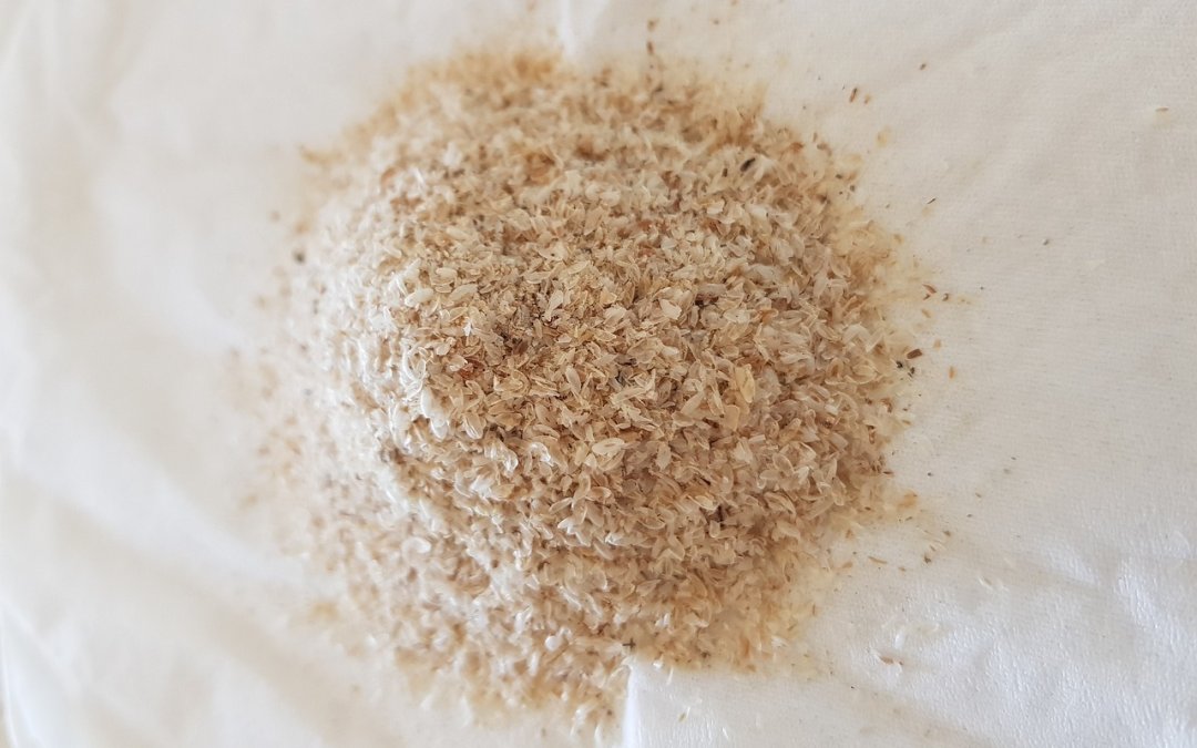 Psyllium Blond : Un Super Aliment Méconnu aux Propriétés Exceptionnelles