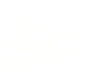 plante3 plante illustration
