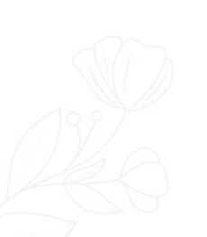 fleur blanche d'illustration