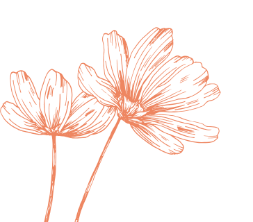 fleurs orange en illustration