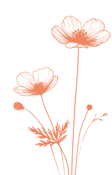 fleurs orange en illustration
