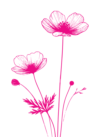 fleurs roseen illustration