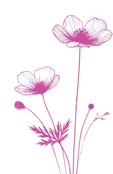 fleur en illustration