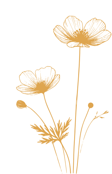 fleurs d'illustration
