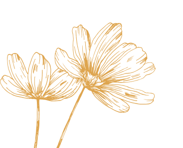 fleurs d'illustration