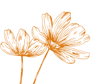 fleur d'illustration