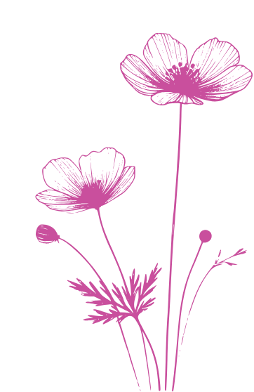 fleur d'illustration