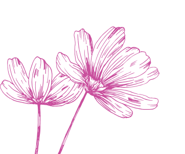 fleur d'illustration