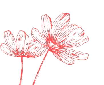 fleur d'illustration