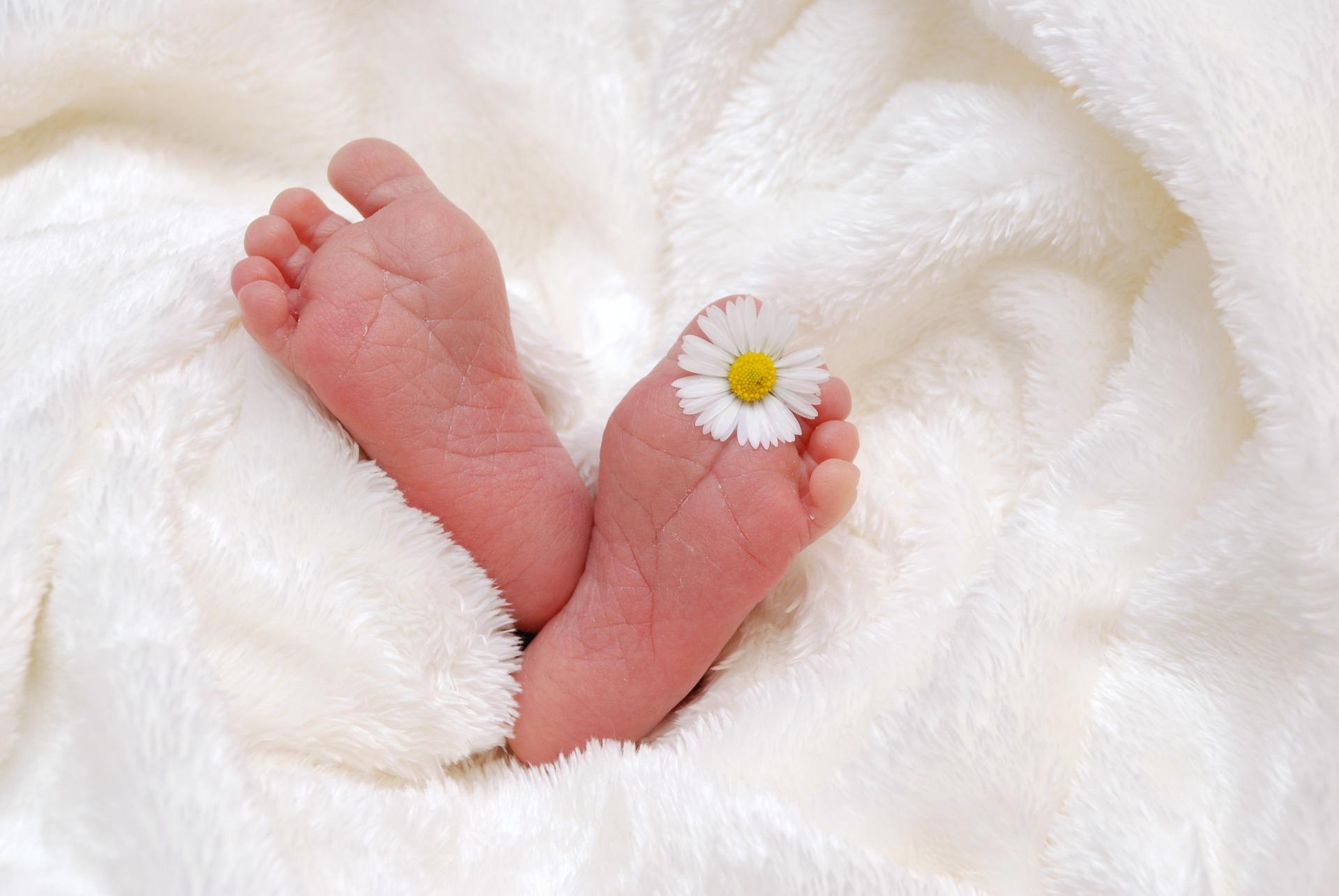 baby-718146_1920 pieds de bébé