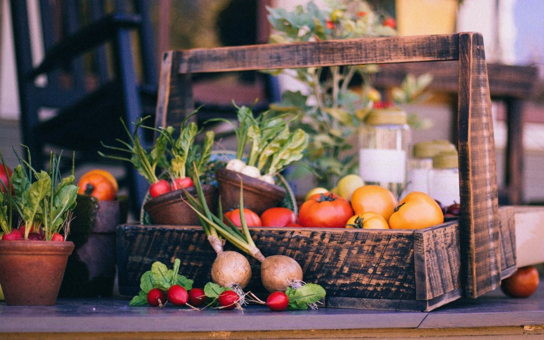 Ces aliments qui nous ressemblent