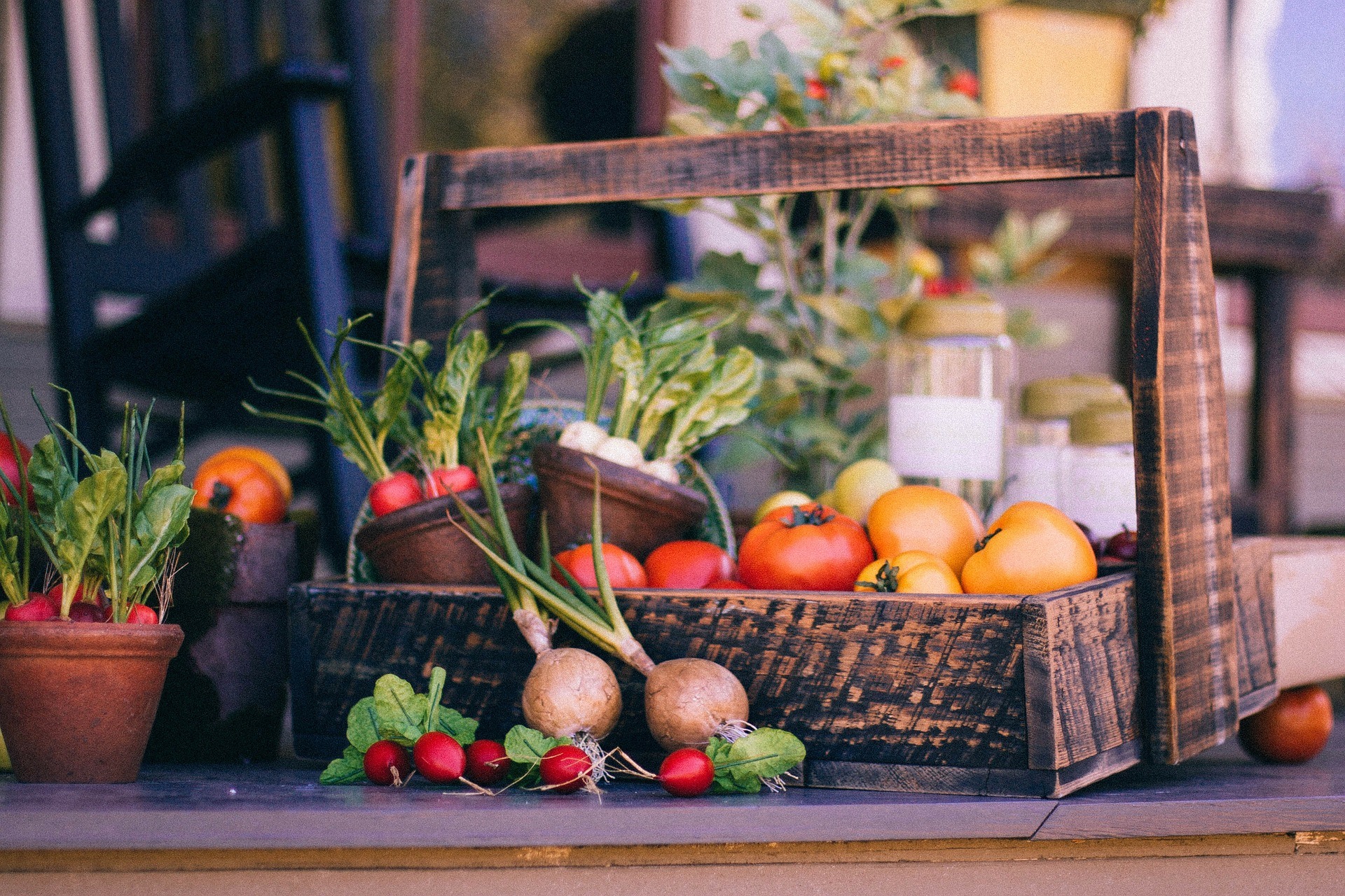 vegetable-basket-349667_1920 panier avec légumes