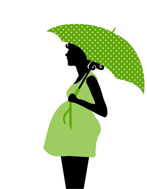 woman-163617_640 illustration d'une femme enceinte